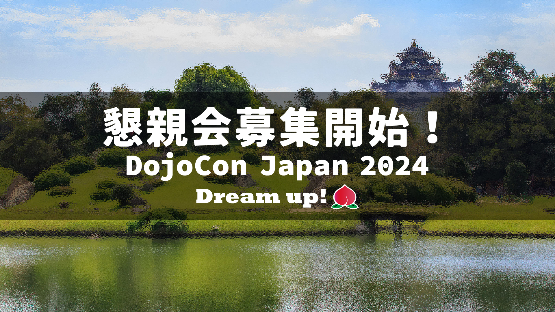 DojoCon Japan 2024 の夜は懇親会 のサムネイル画像